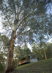 Noojee VIC Accommodation Directory