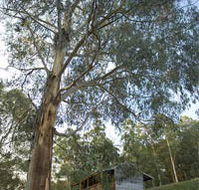 Outpost Restaurant - Accommodation Directory