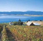 Marions Vineyard  - Accommodation Directory