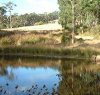 Kiah Nunyara Accommodation - Accommodation Directory