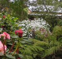Lorne Lemonade Creek Cottages