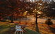 Dairy Park Farm Stay Bed And Breakfast - thumb 0