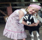 Country Roads Farmstay - Accommodation Directory