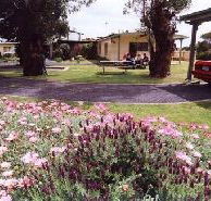 Brigadoon Holiday Units - Accommodation Directory