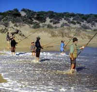 Flippers Beachouse - Accommodation Directory