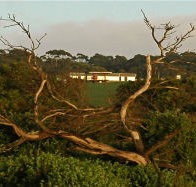 Black Rock Retreat - Accommodation Directory