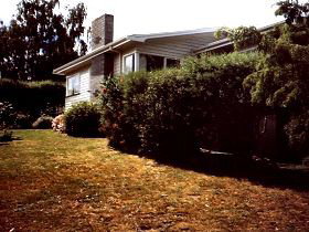 Arundel Cottage - Accommodation Directory 0