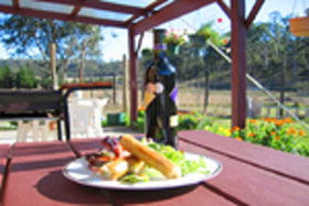 Quamby Pines Chalet B & B - Accommodation Directory 0