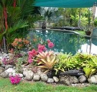 Daintree Wild Bed And Breakfast - Accommodation Directory