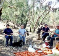 Bimbimbi And Little Hollow Farm Stay - Accommodation Directory