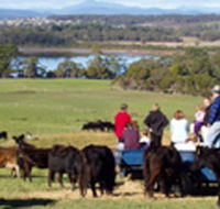 Bonny Brae - Accommodation Directory