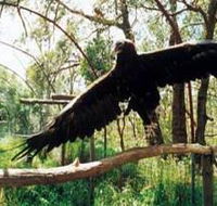 Curlew Hill Sanctuary - Accommodation Directory