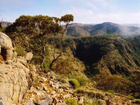 Bendleby Ranges - Accommodation Directory 0