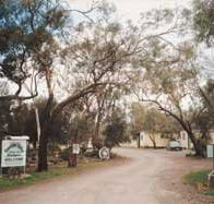 Beautiful Valley Caravan Park Cabins - Accommodation Directory