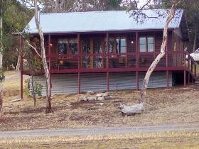 Ivybrook Vineyard Cottage - Accommodation Directory 0