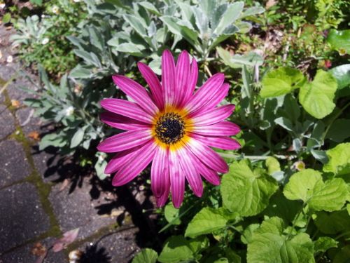 Tawonga South VIC Accommodation Directory