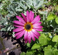 Kiewa Country Cottages - Accommodation Directory