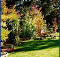 Peartree Cottage Leura - Accommodation Directory