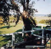 Kidogo Cottage - Accommodation Directory
