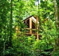 Fur'N'Feathers Rainforest Tree Houses - Accommodation Directory