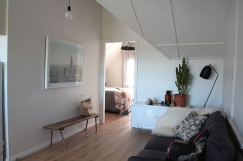 Old Schoolhouse Milton - Accommodation Directory 5