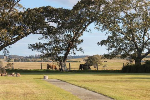 Old Schoolhouse Milton - Accommodation Directory 7