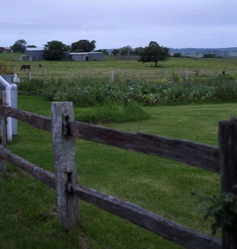 Old Schoolhouse Milton - Accommodation Directory 8