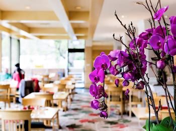 Pullman Melbourne On The Park - Accommodation Directory 42
