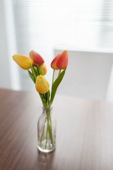 Easystay Apartments Raglan Street - Accommodation Directory 11
