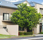 Quest Maitland Serviced Apartments - Accommodation Directory