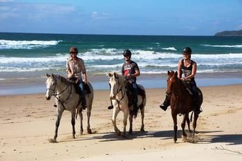 Sunset Cove Noosa - Accommodation Directory 24
