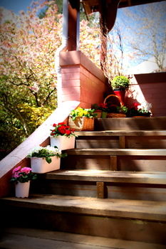 Hotel Avonleigh - Accommodation Directory 13