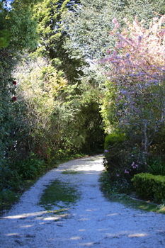 Hotel Avonleigh - Accommodation Directory 15
