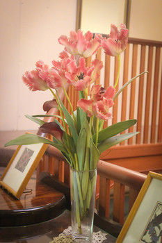 Hotel Avonleigh - Accommodation Directory 30