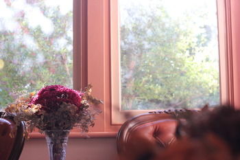 Hotel Avonleigh - Accommodation Directory 46