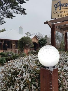 Hotel Avonleigh - Accommodation Directory 54