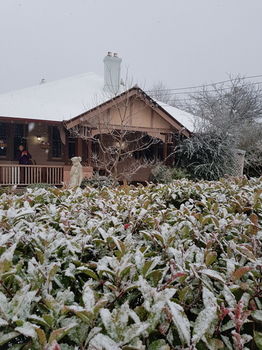 Hotel Avonleigh - Accommodation Directory 57