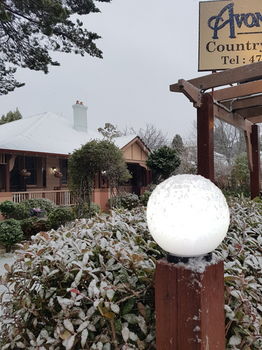 Hotel Avonleigh - Accommodation Directory 58