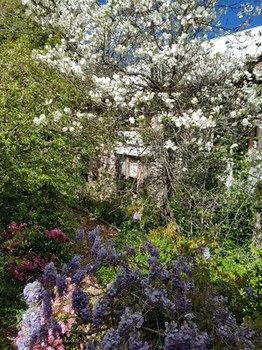 Hotel Avonleigh - Accommodation Directory 62