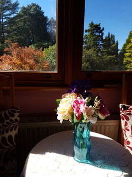 Hotel Avonleigh - Accommodation Directory 66