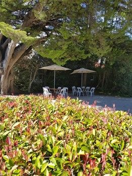 Hotel Avonleigh - Accommodation Directory 74