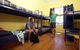 Bondi Beachouse Backpackers YHA - Hostel/Backpacker - thumb 23
