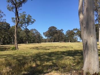 Worrowing At Jervis Bay - Accommodation Directory 81
