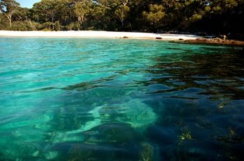 Worrowing At Jervis Bay - Accommodation Directory 98