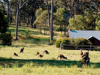 Worrowing At Jervis Bay - Accommodation Directory 101