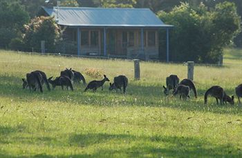 Worrowing At Jervis Bay - Accommodation Directory 31