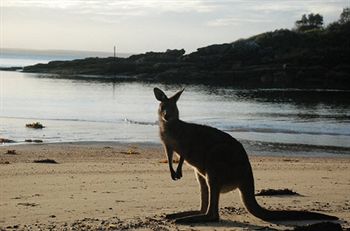 Worrowing At Jervis Bay - Accommodation Directory 35