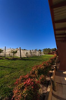 De'Vine Escape - Accommodation Directory 5