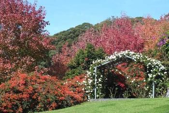 Terrigal Hinterland Bed And Breakfast - Accommodation Directory 11