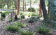 Terrigal Hinterland Bed And Breakfast - thumb 20